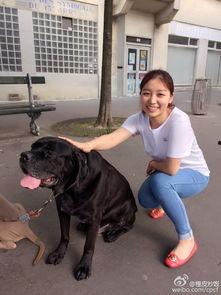 女子狗图片,女子与狗狗的温馨瞬间