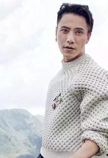 毛衣男明星